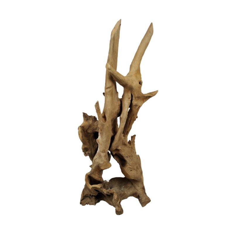 DIJK Teakholz Wurzelstatue DIJK Teakholz Wurzelstatue